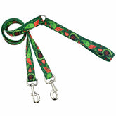 Holiday Paisley Euro Leash